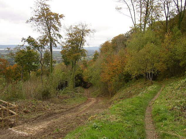 Cotswold Way, from top of Crawley Hill